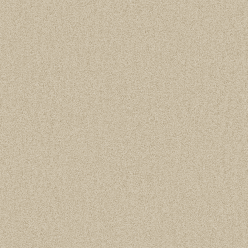 Texture camel