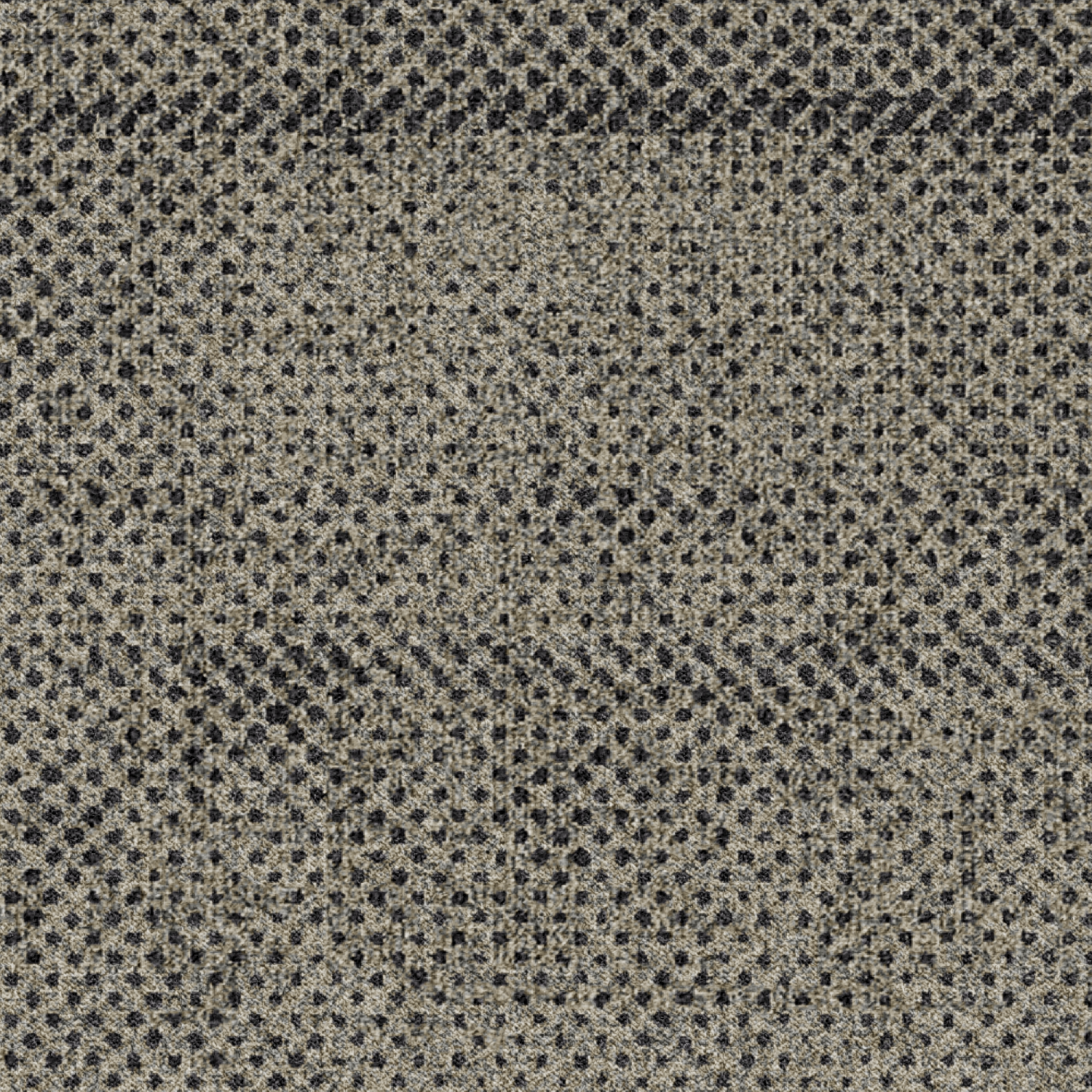 ReForm Transition Seed dark grey 5595