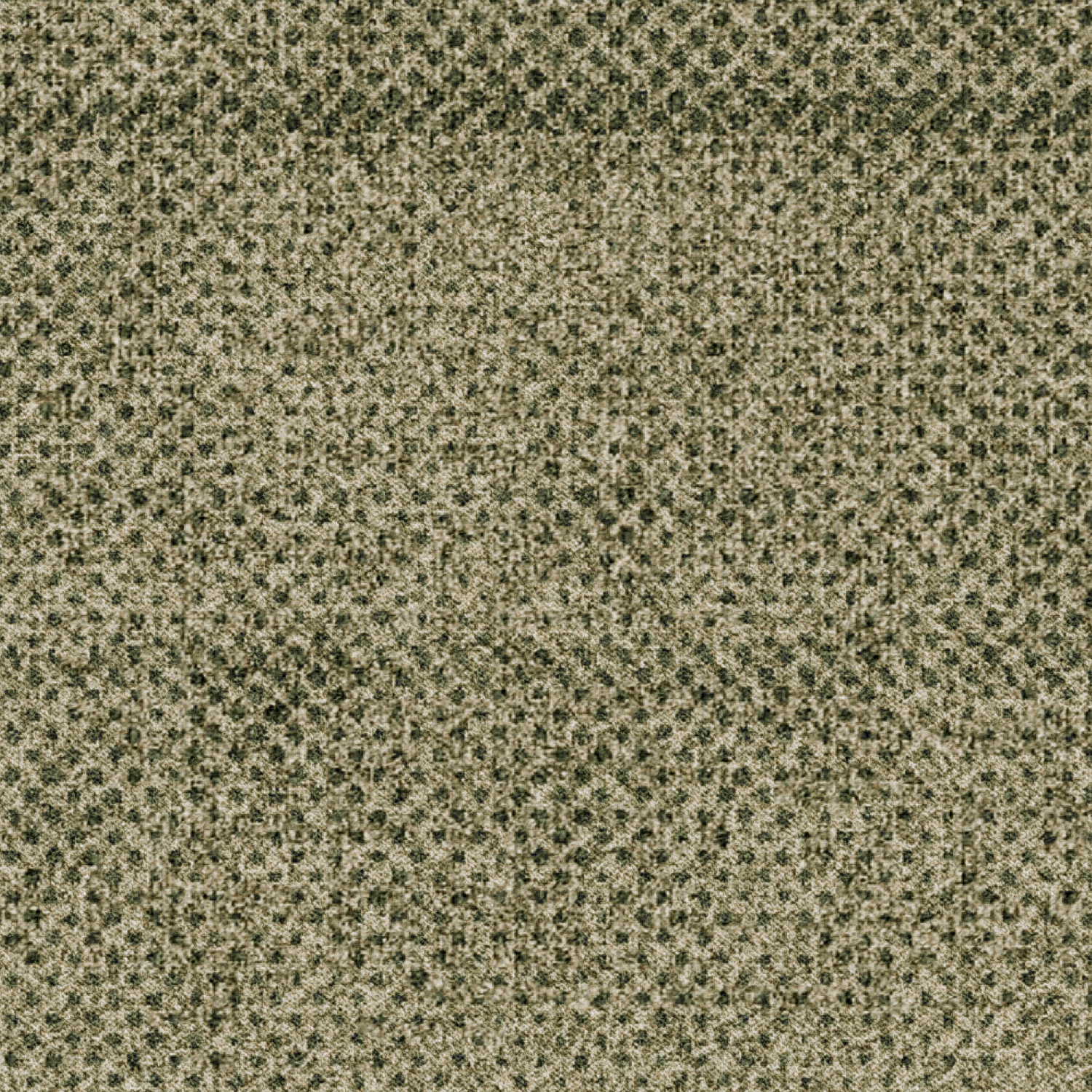 ReForm Transition Seed light green 5595