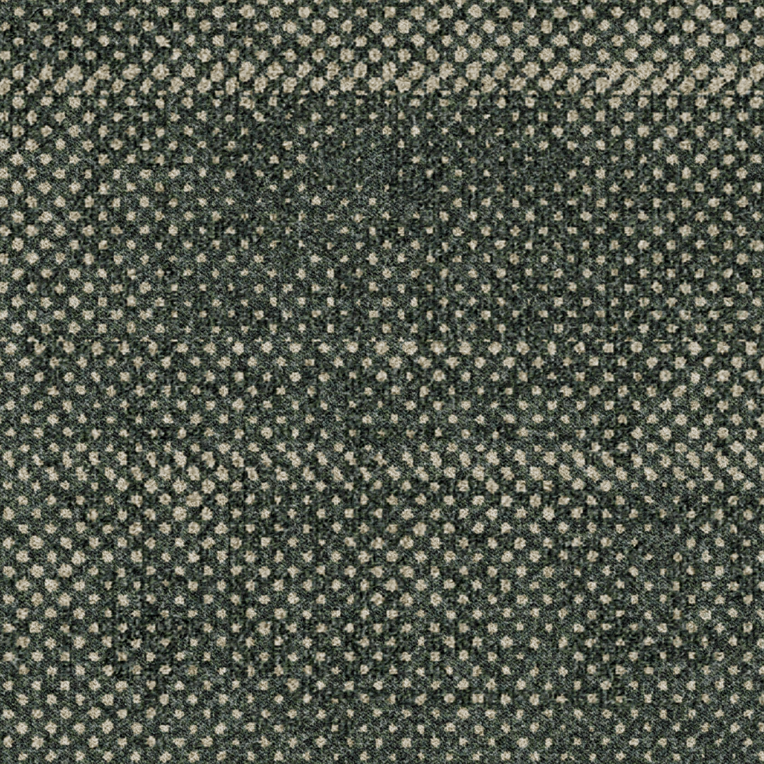 ReForm Transition Seed dark green 5595