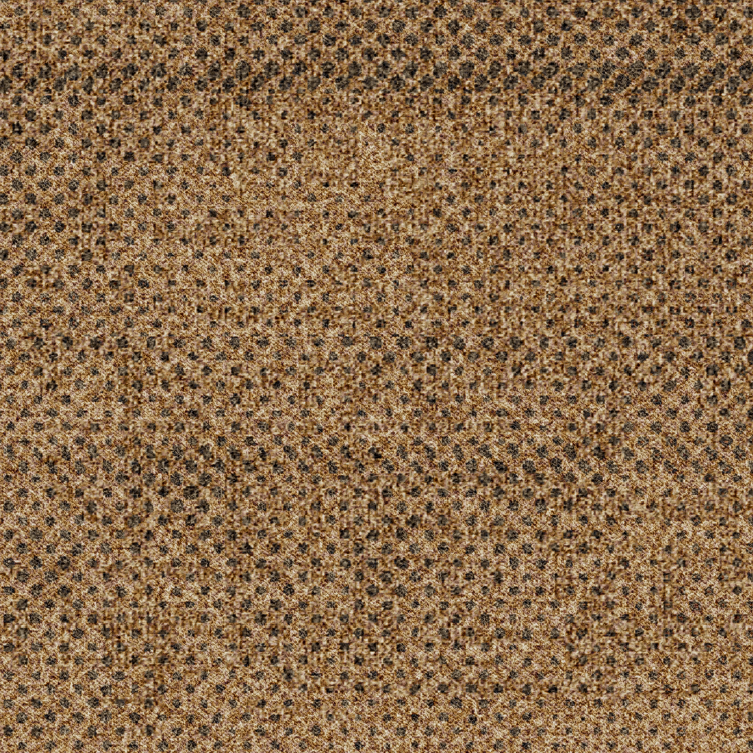 ReForm Transition Seed camel 5500