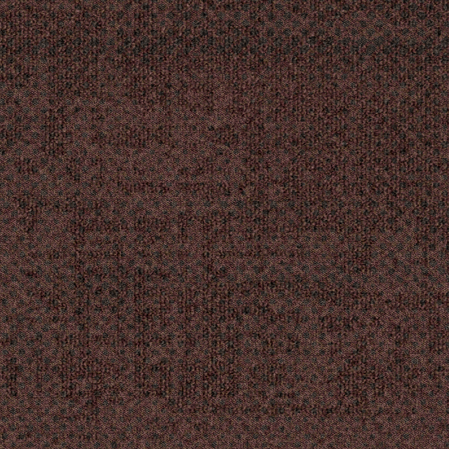 ReForm Transition Seed purple 5500