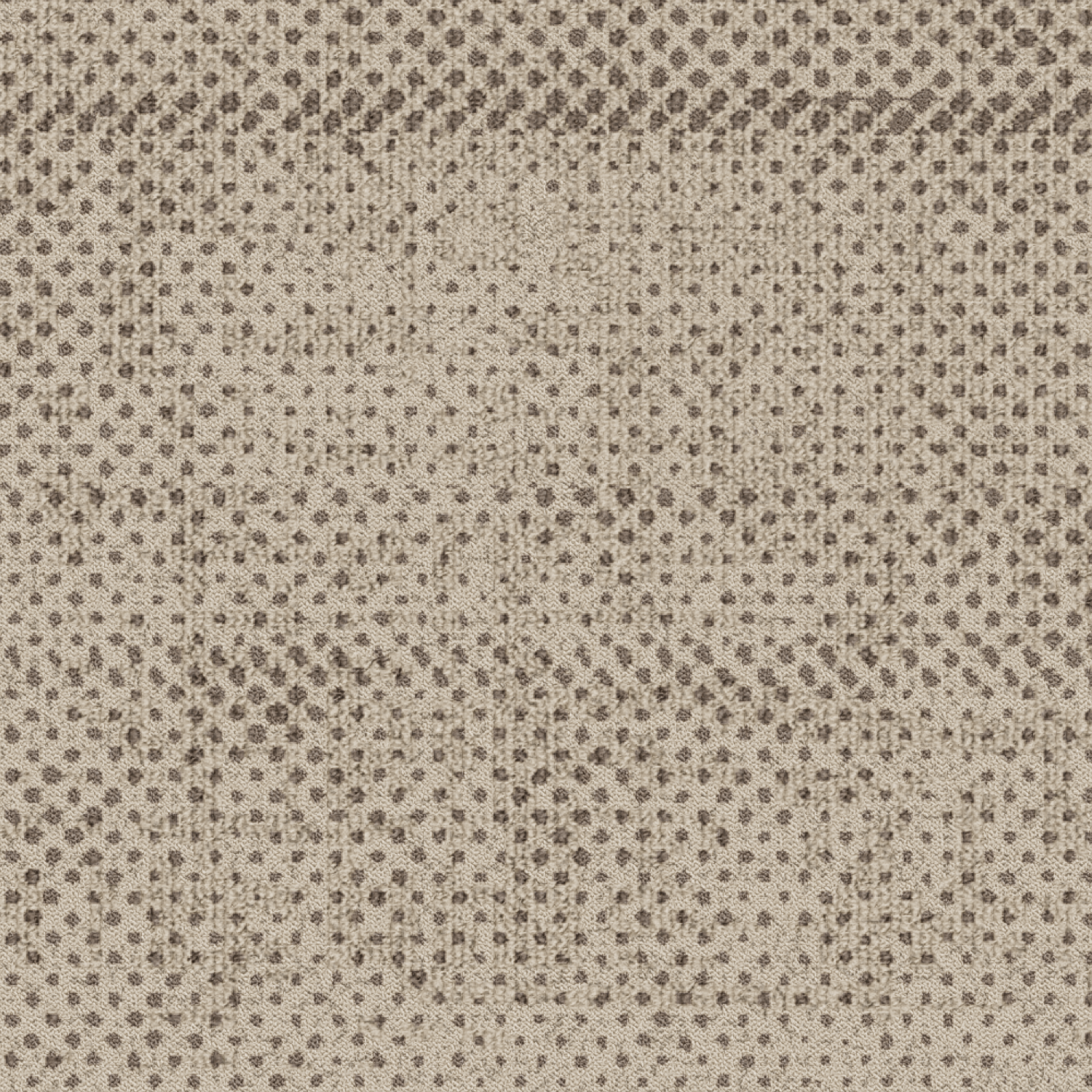 ReForm Transition Seed warm grey 5575