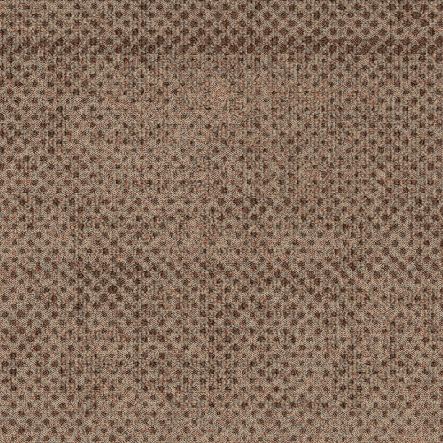 ReForm Transition Seed blush 5575