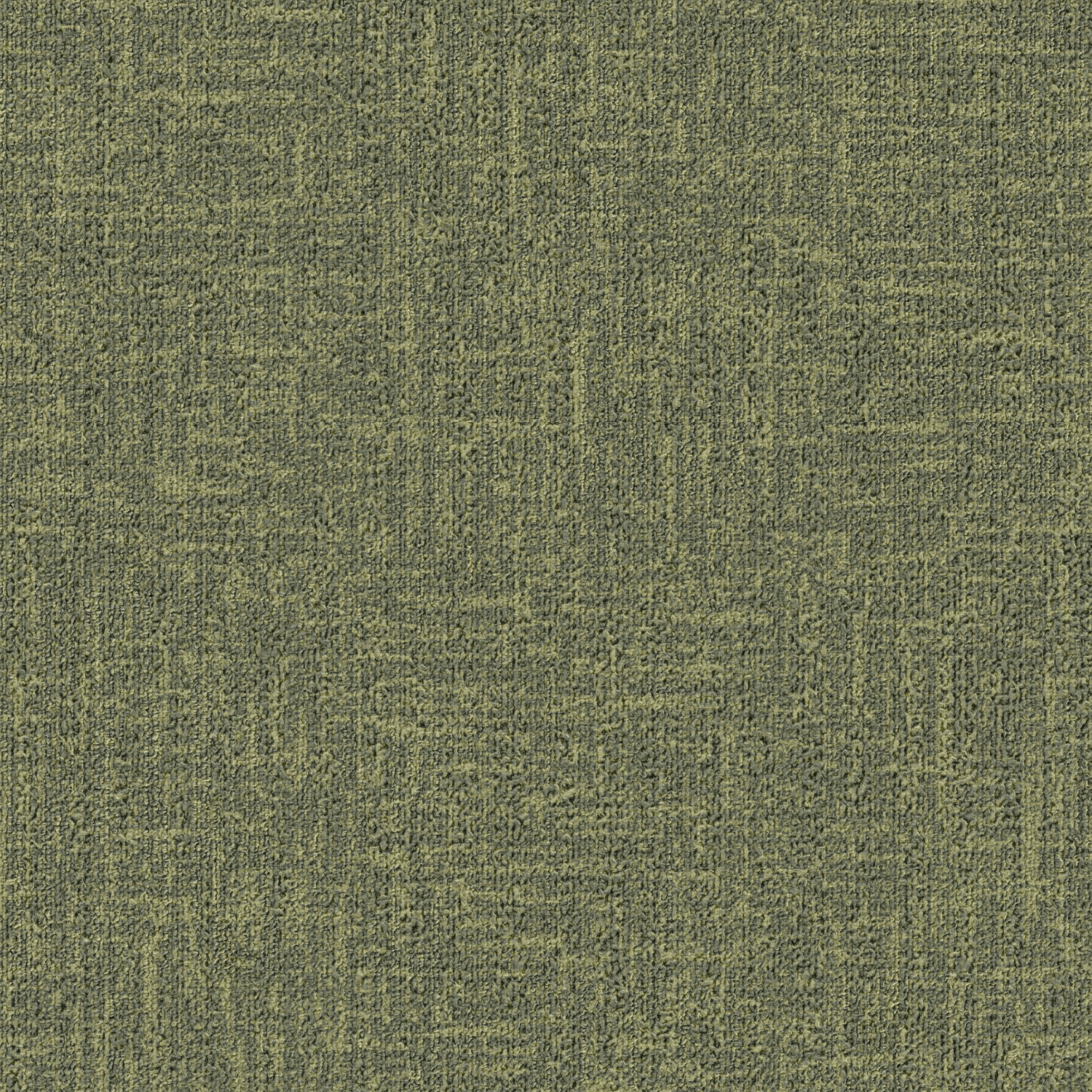 ReForm Spectrum fern