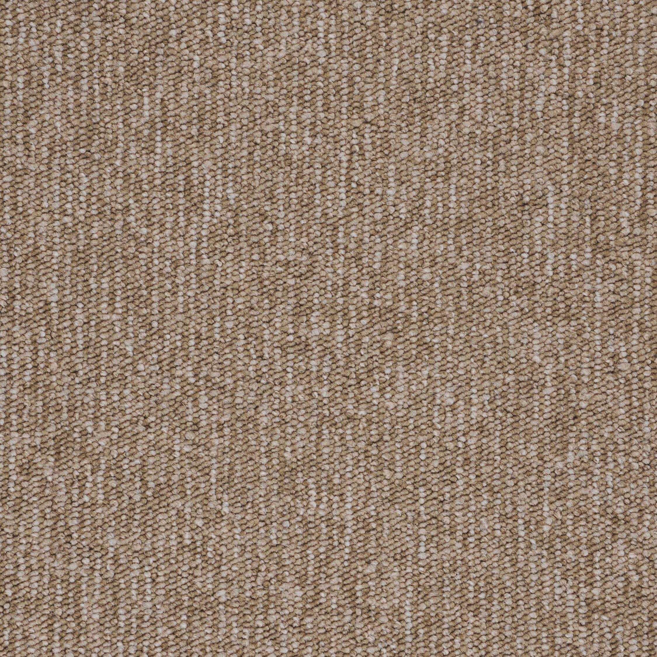 Contra Stripe beige