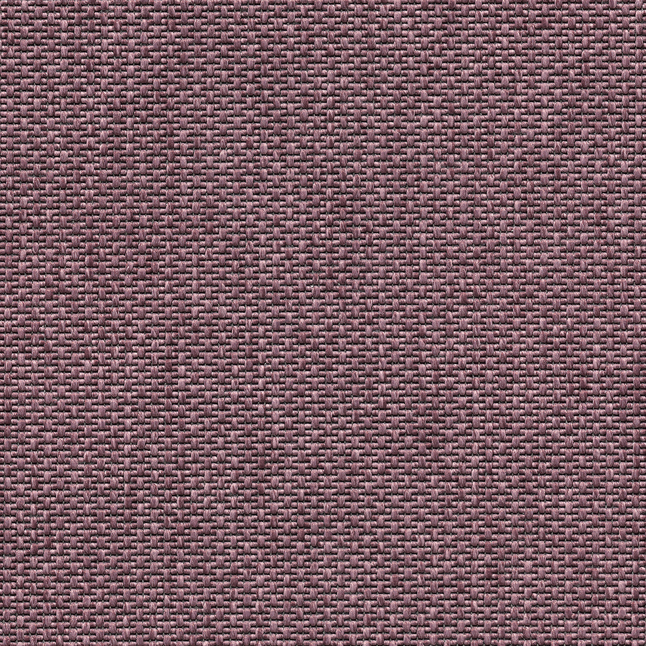Eco Rustic dusty amethyst