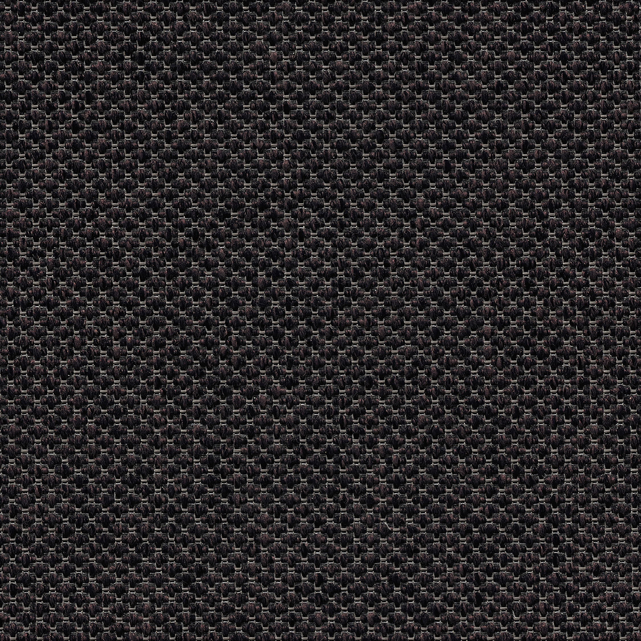 Eco Structure porphyry purple
