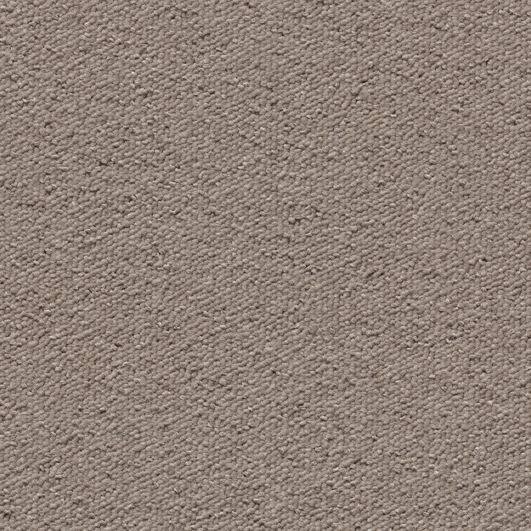 Una Tempo beige
