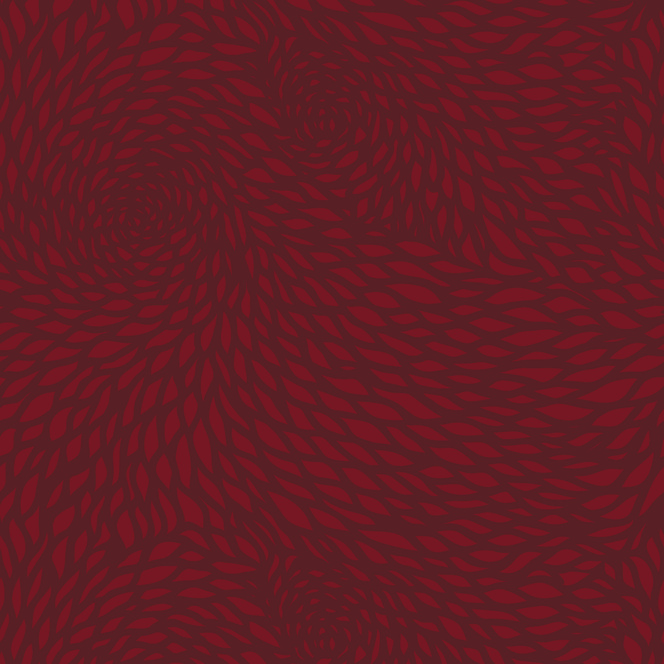 chrysanthemum  bordeaux