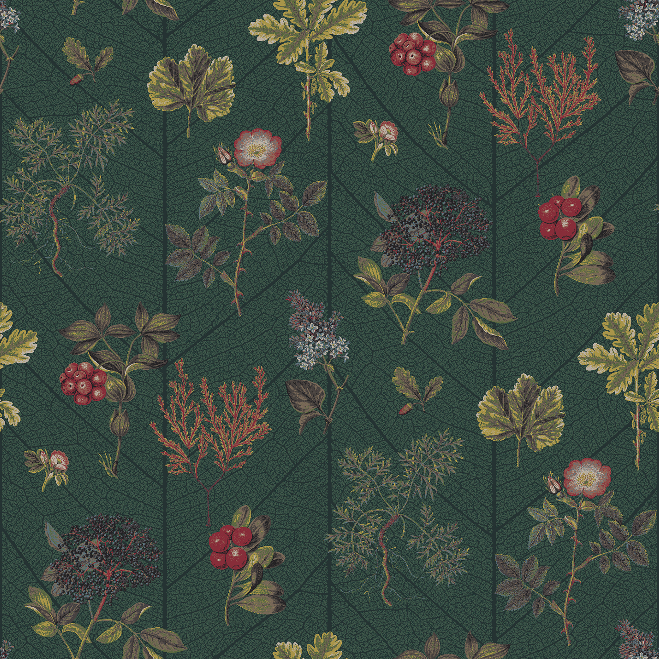 botanic garden  green