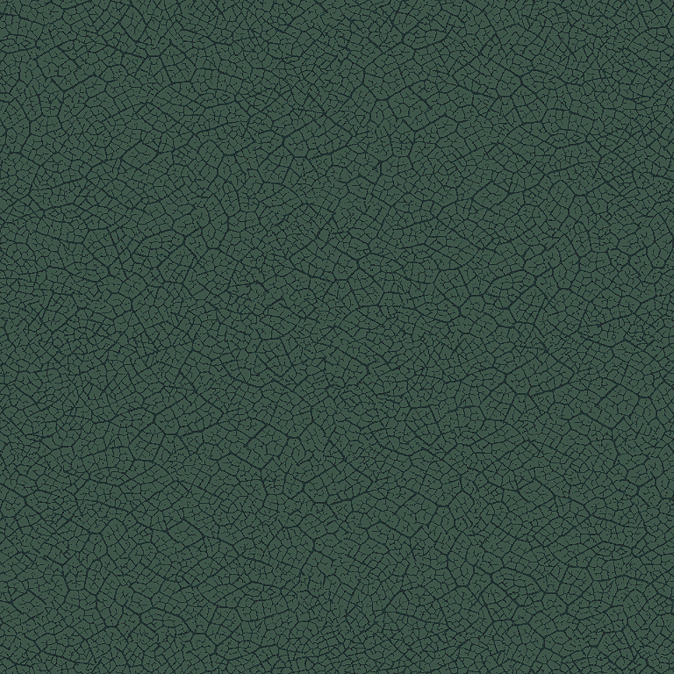 leaf texture  green