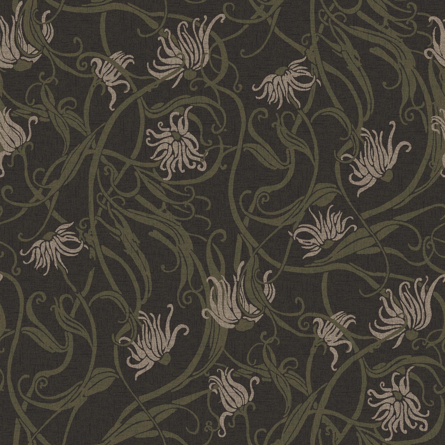calendula  black