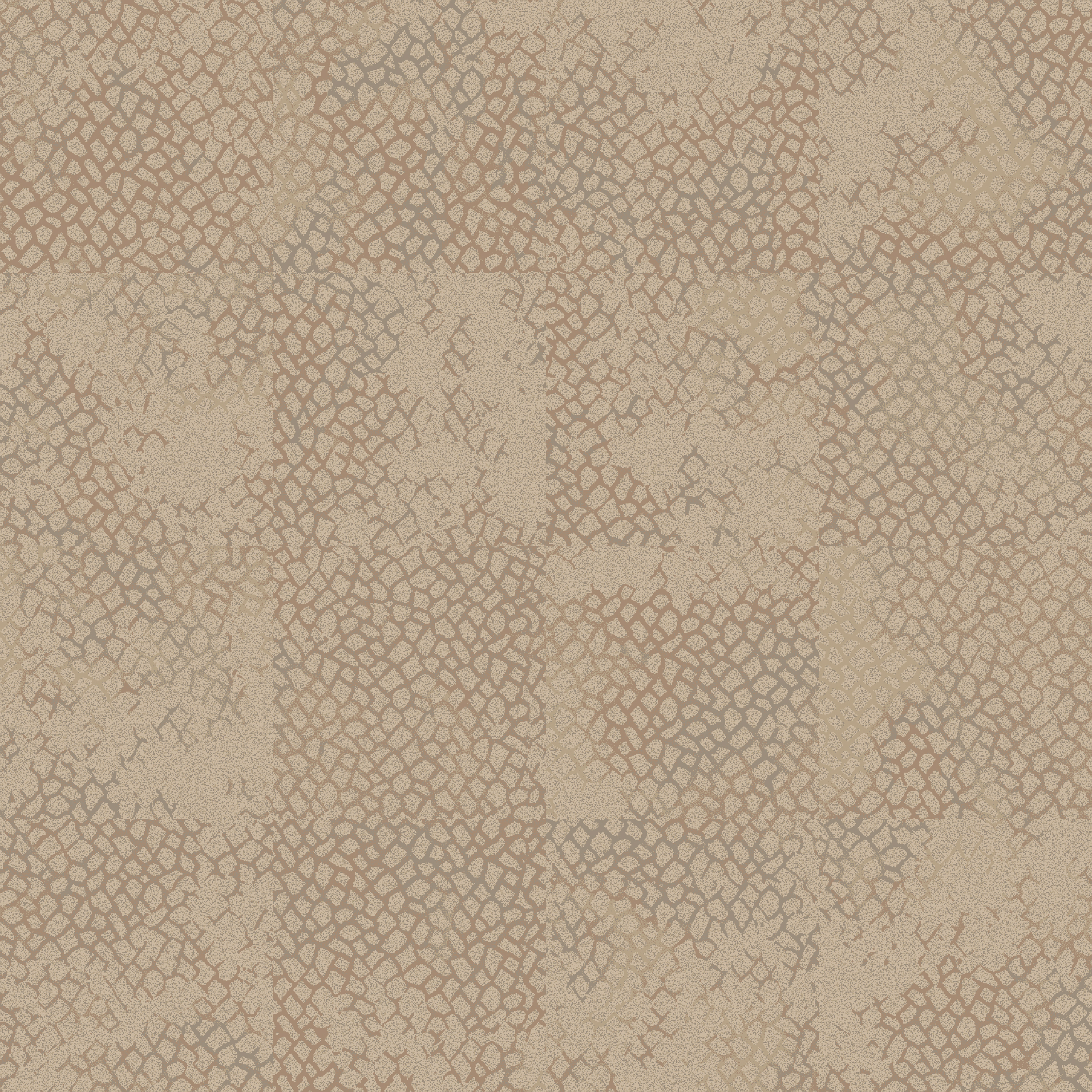 Tangle  beige