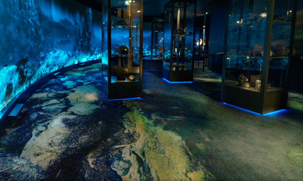 University Museum, Bergen