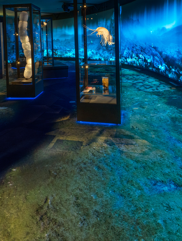University Museum, Bergen